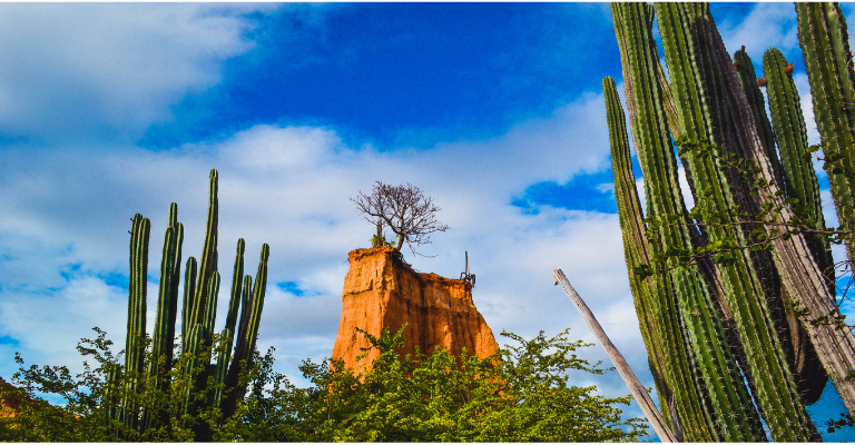 AXA Culiacán